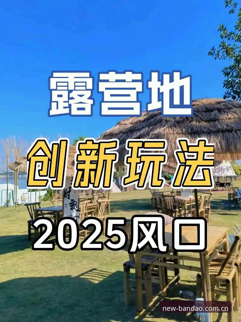资深用户实测：半岛安卓版2025新版使用心得，这些创新改进值得关注